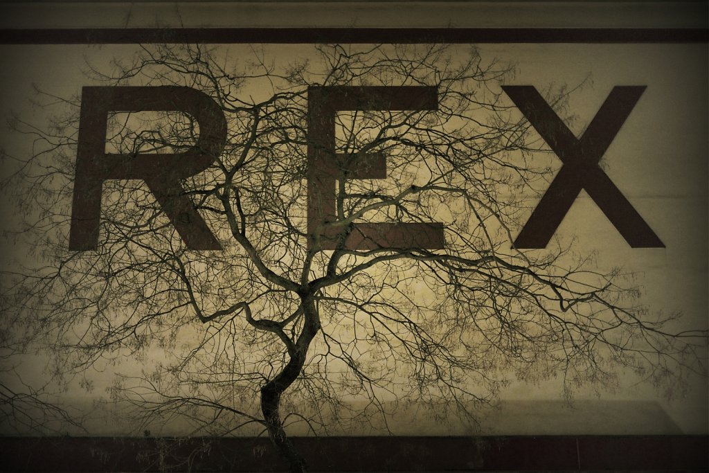 rex-arbre-def.jpg