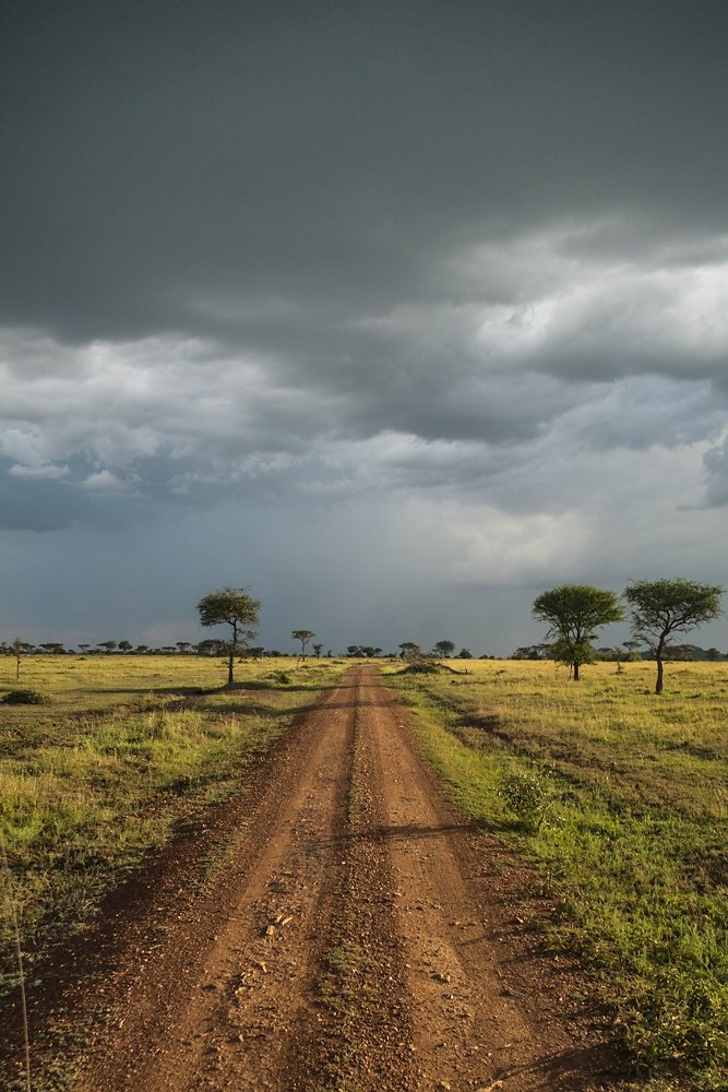 serengeti-Snapseed.jpg